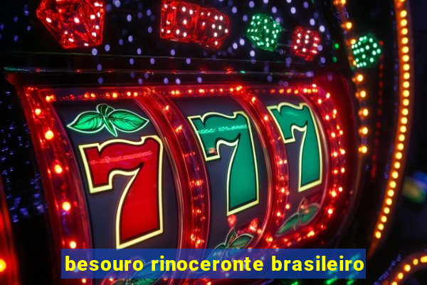 besouro rinoceronte brasileiro